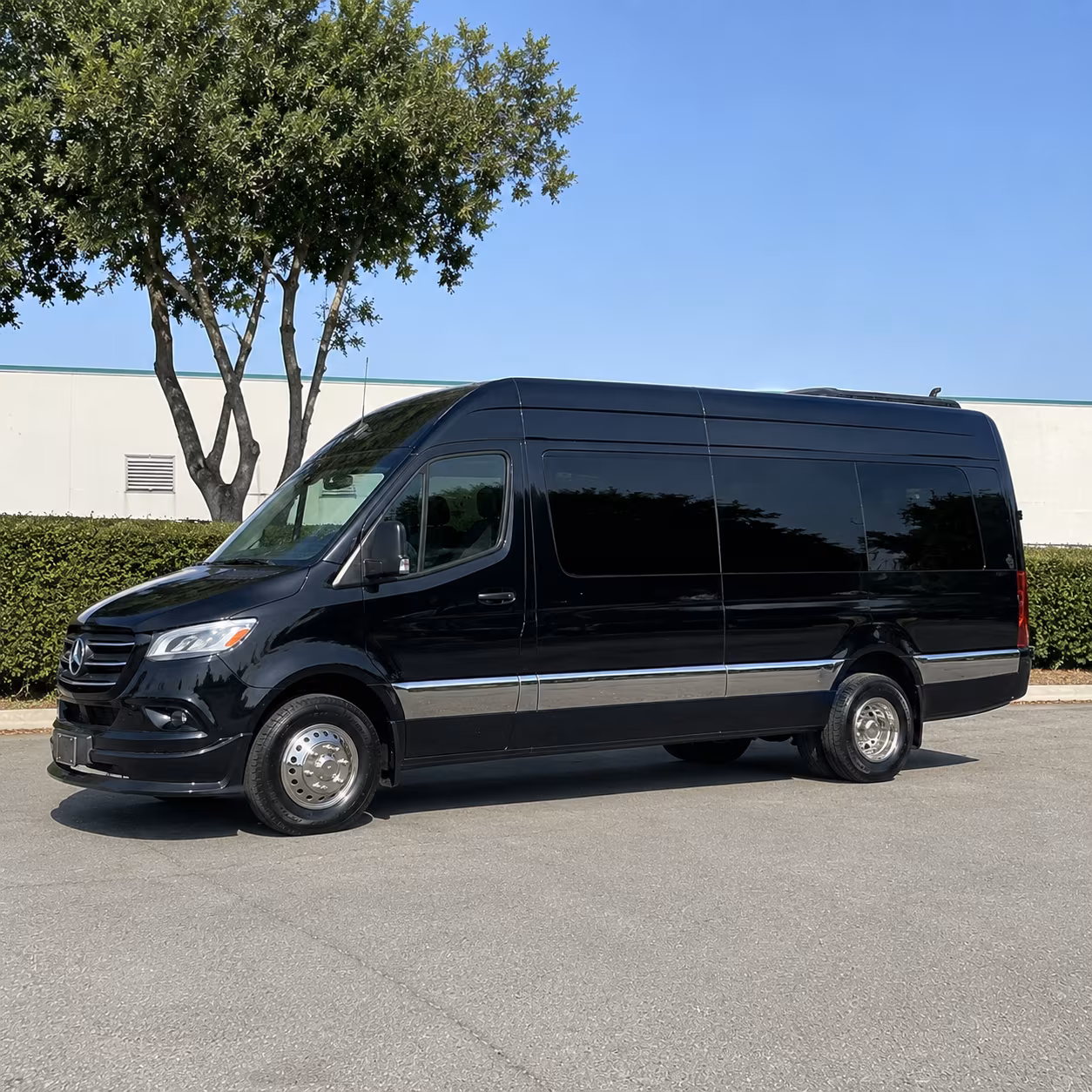 book group transportation for your next birthday 2