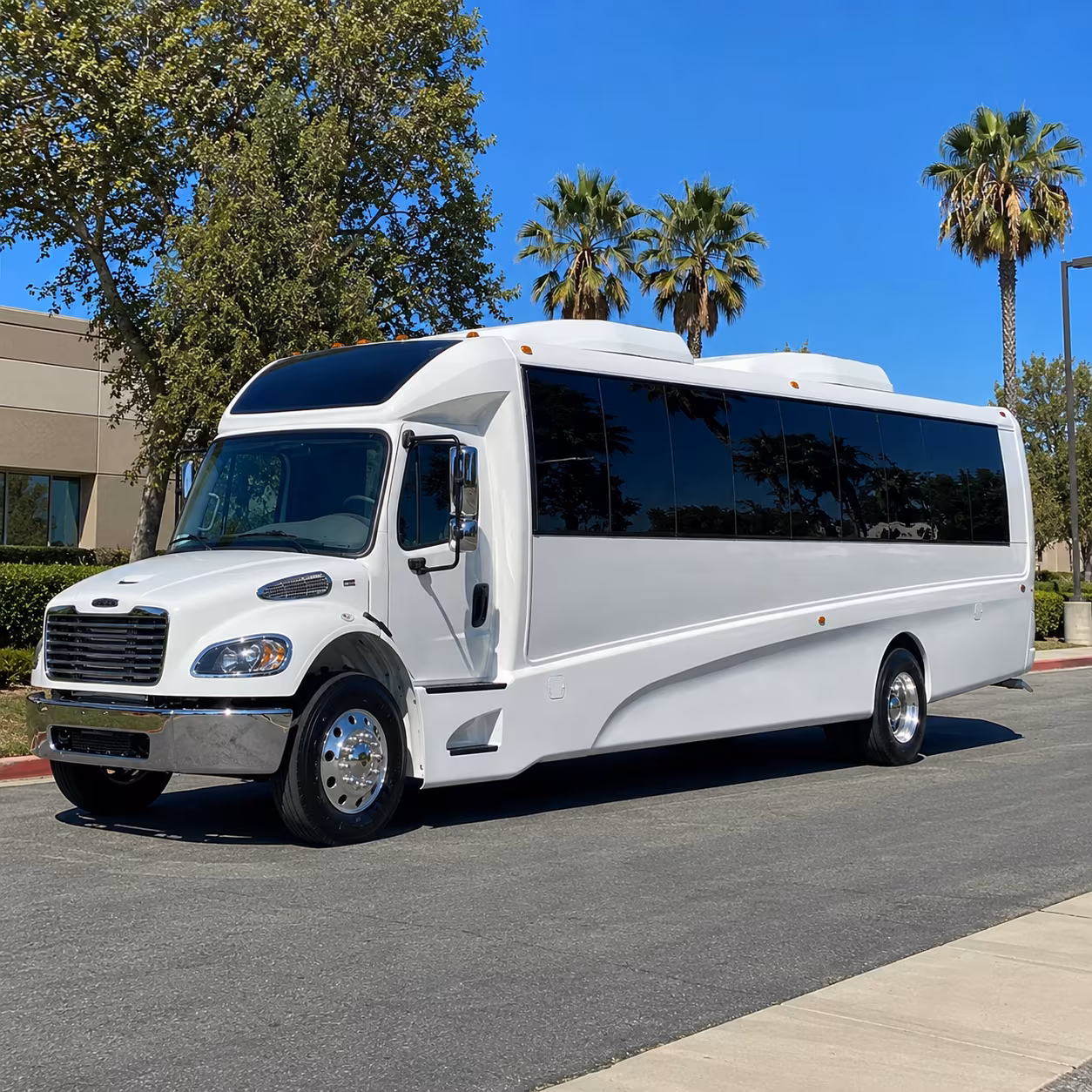 book group transportation for your next prom 5